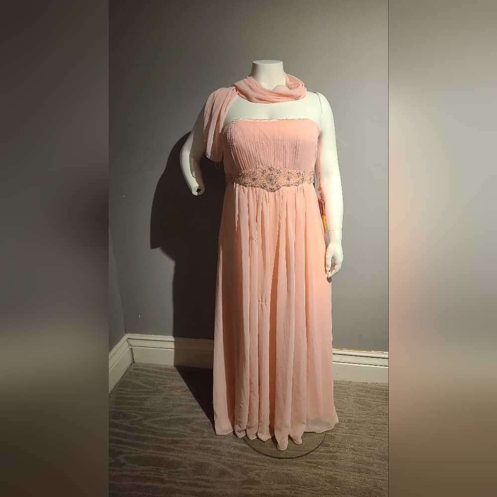 Blush Strapless Formal Dress (Size 18)